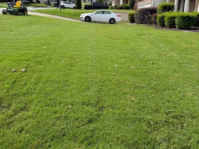 Lawn Care service in Conyers, 30012