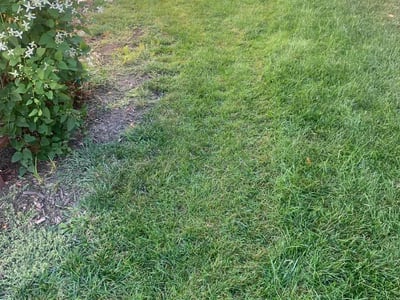 Lawn Care service in Cedar Falls, 50613