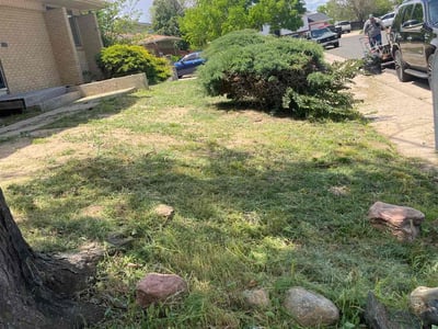 Lawn Care service in Ridgecrest, 93555
