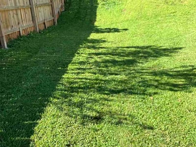 Lawn Care service in Acworth, 30101