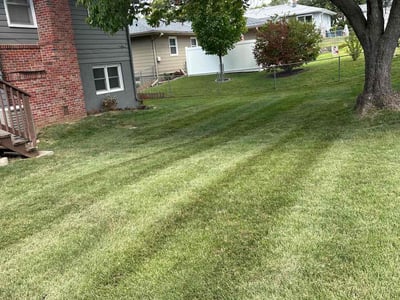 Lawn Care service in Bellevue, 68005