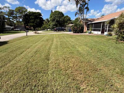 Lawn Care service in Lake Worth, 33460