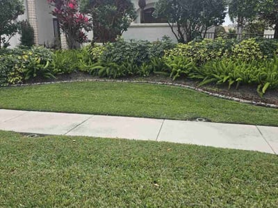 Lawn Care service in Riviera Beach, 33404