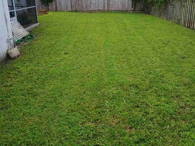 Lawn Care service in Lake Worth, 33460