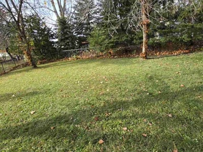 Lawn Care service in Brainerd, 56401