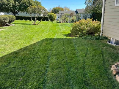 Lawn Care service in Nazareth, 18064