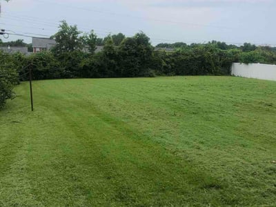 Lawn Care service in Clayton, 63105