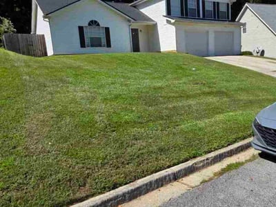 Lawn Care service in Lithonia, 30058
