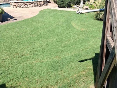 Lawn Care service in Lithonia, 30058