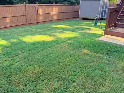 Lawn Care service in Canton, 30114