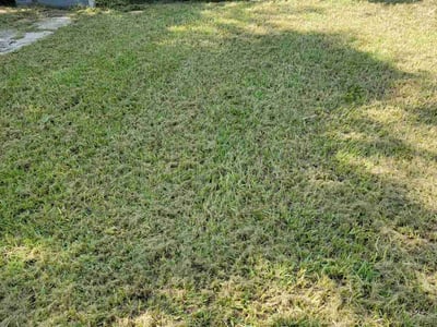 Lawn Care service in Quincy, 02169