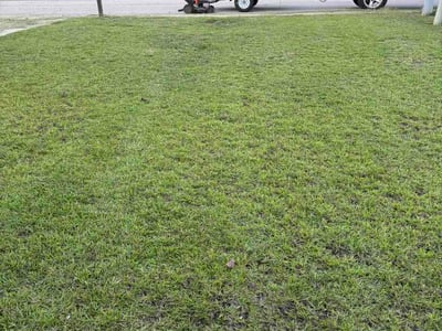 Lawn Care service in Graham, 27253