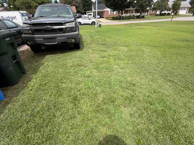 Lawn Care service in Graham, 27253