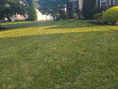 Lawn Care service in Enola, 17025