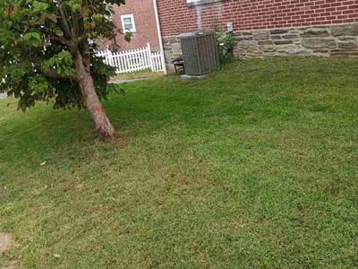 Lawn Care service in Enola, 17025