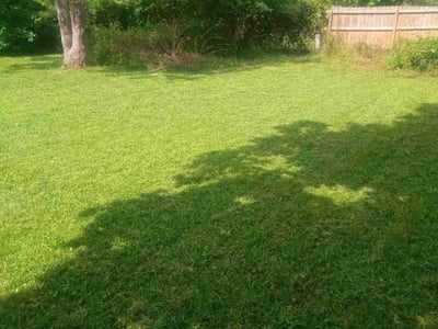 Lawn Care service in Cabot, 72023