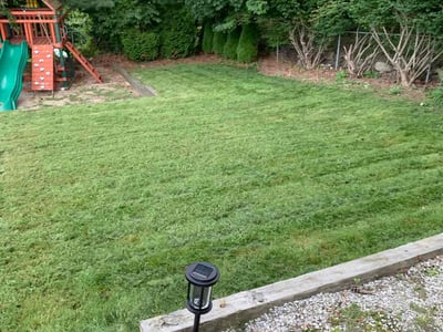 Lawn Care service in Milton, 02186