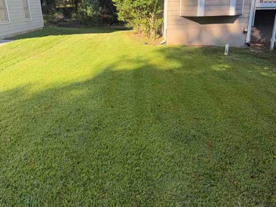 Lawn Care service in Kennesaw, 30144