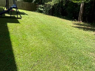 Lawn Care service in Kennesaw, 30144