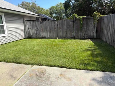 Lawn Care service in North Miami Beach, 33162