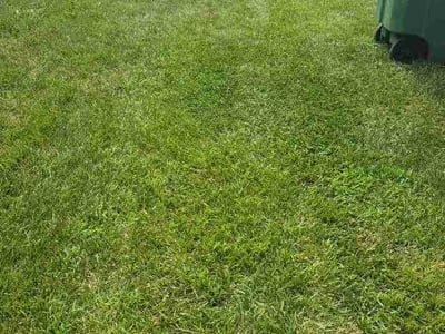 Lawn Care service in Lees Summit, 64063