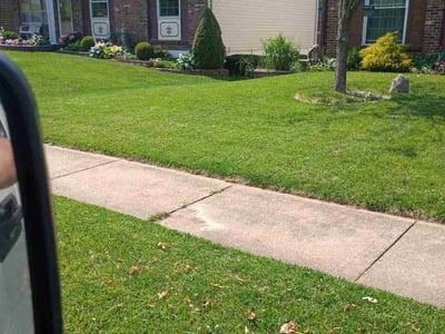 Lawn Care service in Saint Peters, 63376
