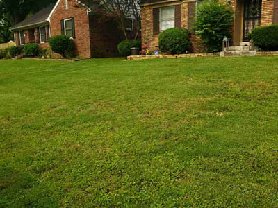 Lawn Care service in Marion, 72364