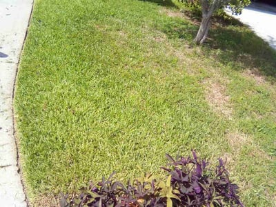 Lawn Care service in Jupiter, 33458