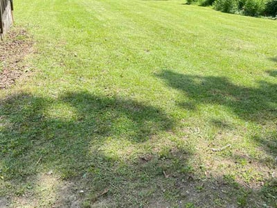 Lawn Care service in East Point, 30344