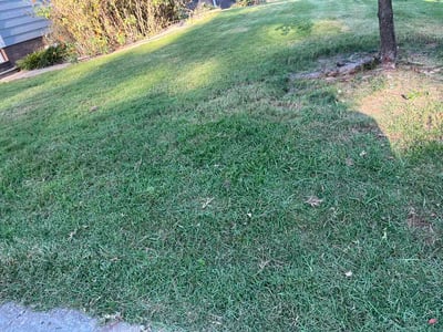 Lawn Care service in East Point, 30344