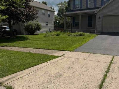 Lawn Care service in Pataskala, 43062