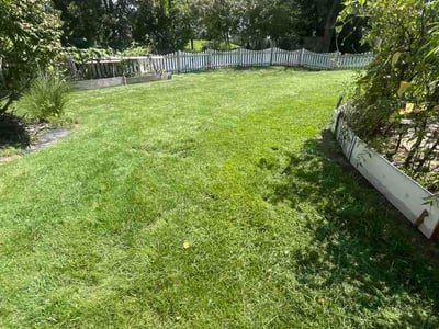 Lawn Care service in Pataskala, 43062