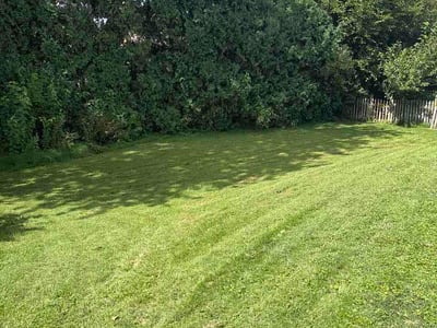 Lawn Care service in Denver, 17517