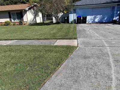 Lawn Care service in Naples, 34102