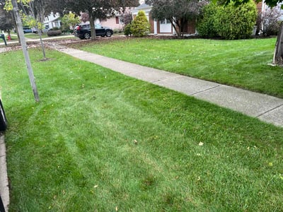 Lawn Care service in Antioch, 60002