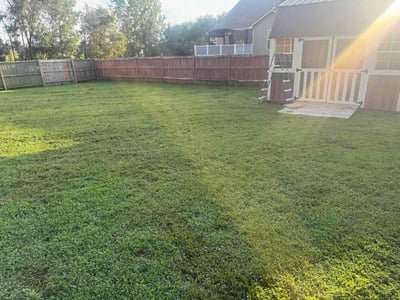 Lawn Care service in Mission, 66202