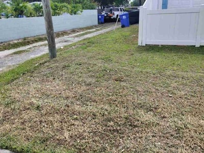 Lawn Care service in Ruskin, 33570
