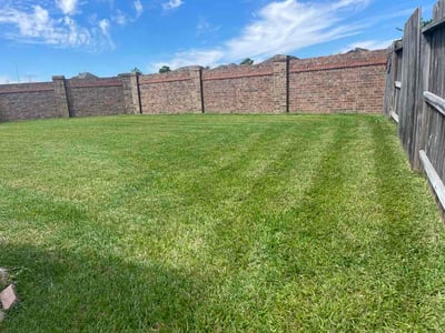 Lawn Care service in Mission, 78572