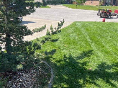 Lawn Care service in Grain Valley, 64029
