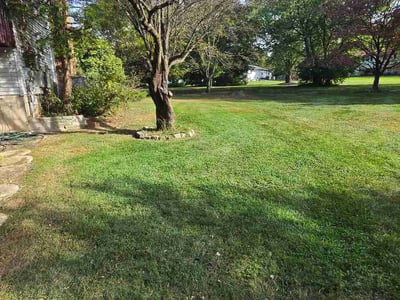 Lawn Care service in Northampton, 18067