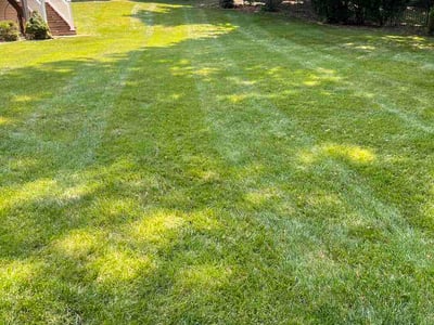 Lawn Care service in Chesterfield, 63017