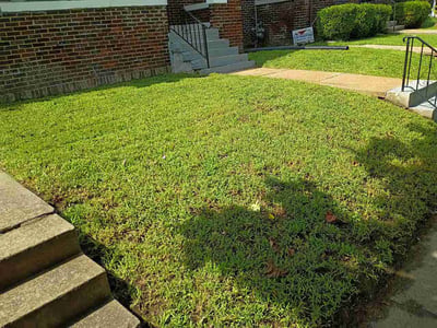 Lawn Care service in Chesterfield, 63017
