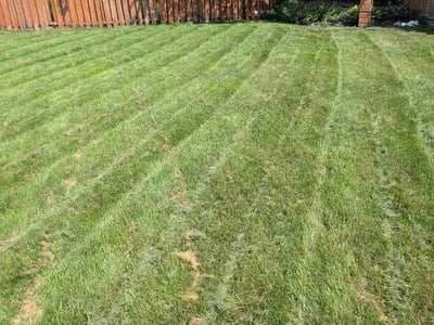 Lawn Care service in Farmington, 55024