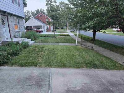Lawn Care service in Camp Hill, 17011
