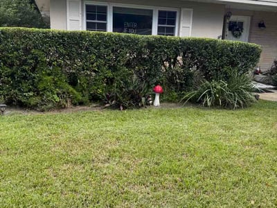 Lawn Care service in Largo, 33771