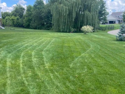Lawn Care service in Farmington, 55024