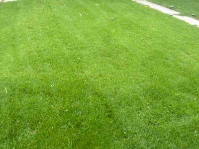 Lawn Care service in Hampstead, 21074