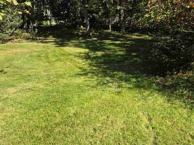 Lawn Care service in Sparta, 49345