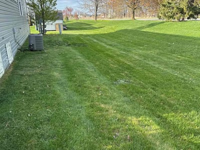 Lawn Care service in Sparta, 49345