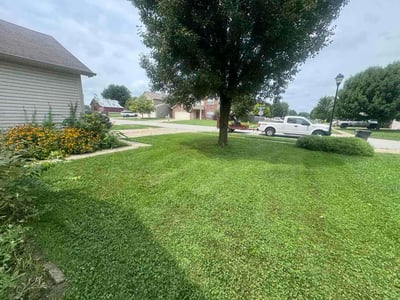 Lawn Care service in Terre Haute, 47807